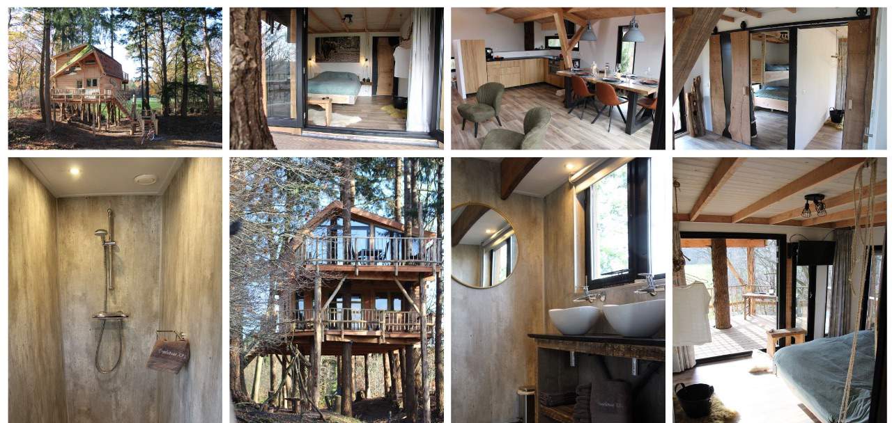 Luxe boomhut Drenthe